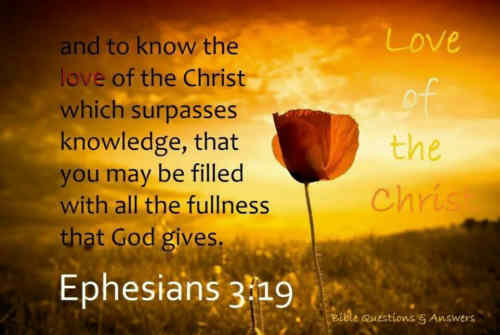 It passeth knowledge that dear love of