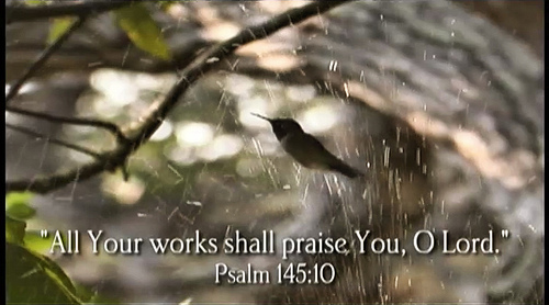 Praise the Lord ye heavens adore Him Praise Him++.