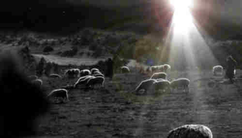 While shepherds watched their flocks by