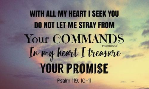 Holy Bible Book divine Precious treasure thou art