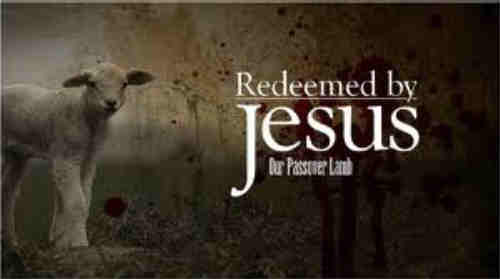 Thou dear Redeemer dying Lamb