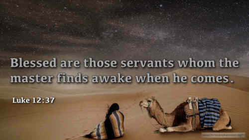 Ye servants of the Lord Each in his office wait++.