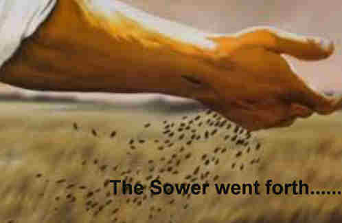 The sower went forth sowing The seed