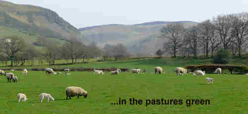 Faithful Shepherd feed me In the pasture++.