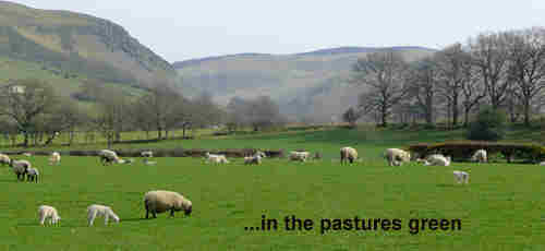 Faithful Shepherd feed me In the pasture