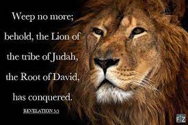 O the Lion of Judah hath triumphed ++.