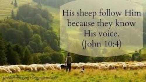 Like a shepherd tender true Jesus leads++.