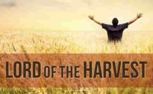 Lord of the harvest once again We thank