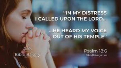 I Love the Lord He heard my voice And