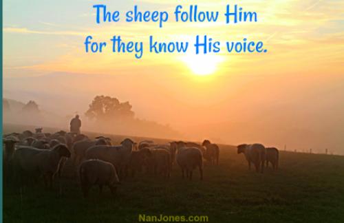 Great Shepherd of Thy chosen flock++.