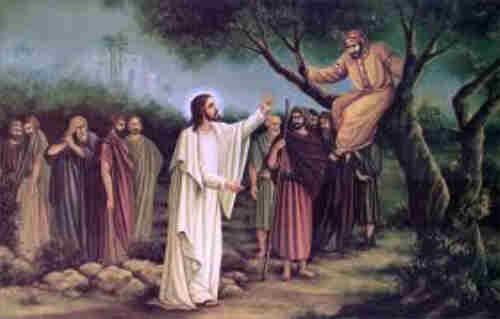 Zaccheus climbed the tree And thought