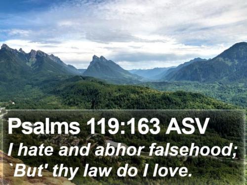 Deceit and falsehood I abhor++.