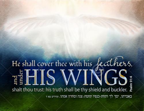 Under His wings thy defense shall be ++.