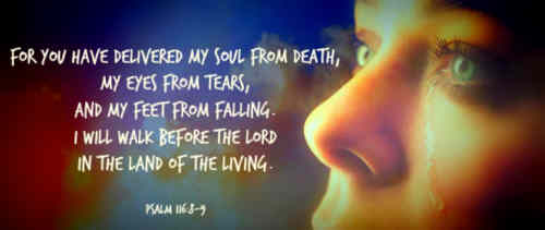 My soul through my Redeemer
