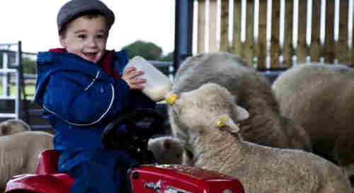 Shepherd boy tell me why are you singing