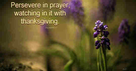 Pray without ceasing pray Your Captain