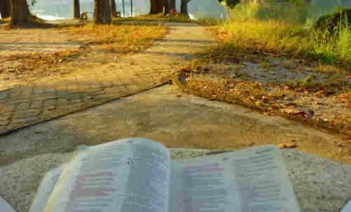 Show me the way O Lord And make it plain++.