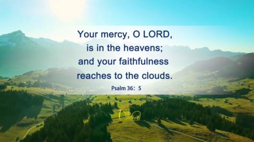 Thy mercy Lord is in the heavens