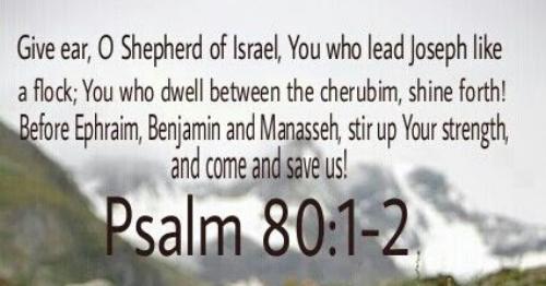 Thou Shepherd that dost Israel keep give ear and ++.