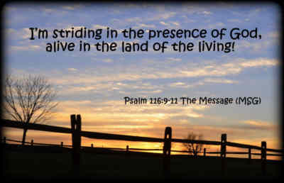 I said in my distress and fear That all