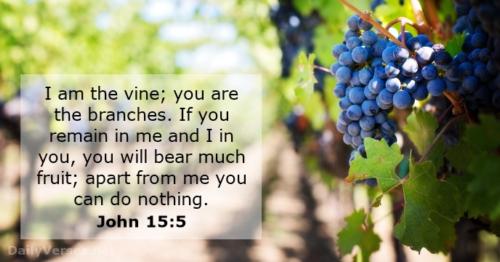 Jesus thou art the living vine Thy++.