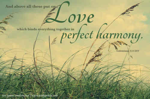 O brethren how this perfect love++.