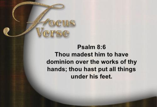 PRAISE FROM ALL CREATURES