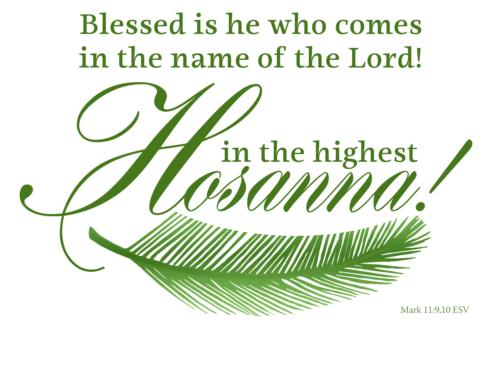 HOSANNA TO THE SON OF DAVID