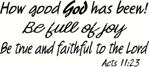FOLLOWING THE LORD FULLY