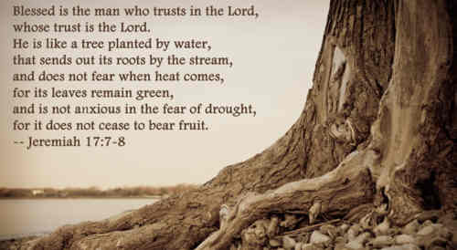 Let me be like a fruitful tree Planted++.
