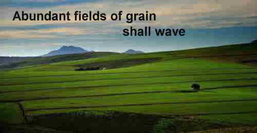 Abundant fields of grain shall wave All ++.