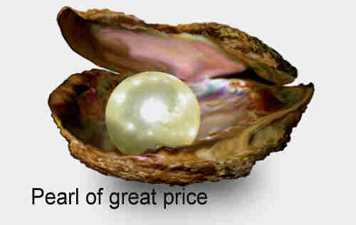 PEARL OF GREAT PRICE++.