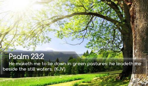 While my Redeemer’s near My Shepherd and my Guide