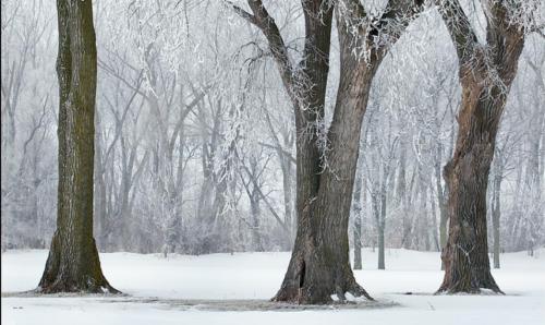 Stern winter throws his icy chains