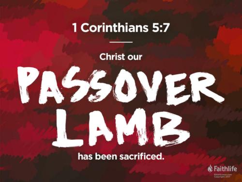 Our Lamb is slain the Paschal Lamb Of which the